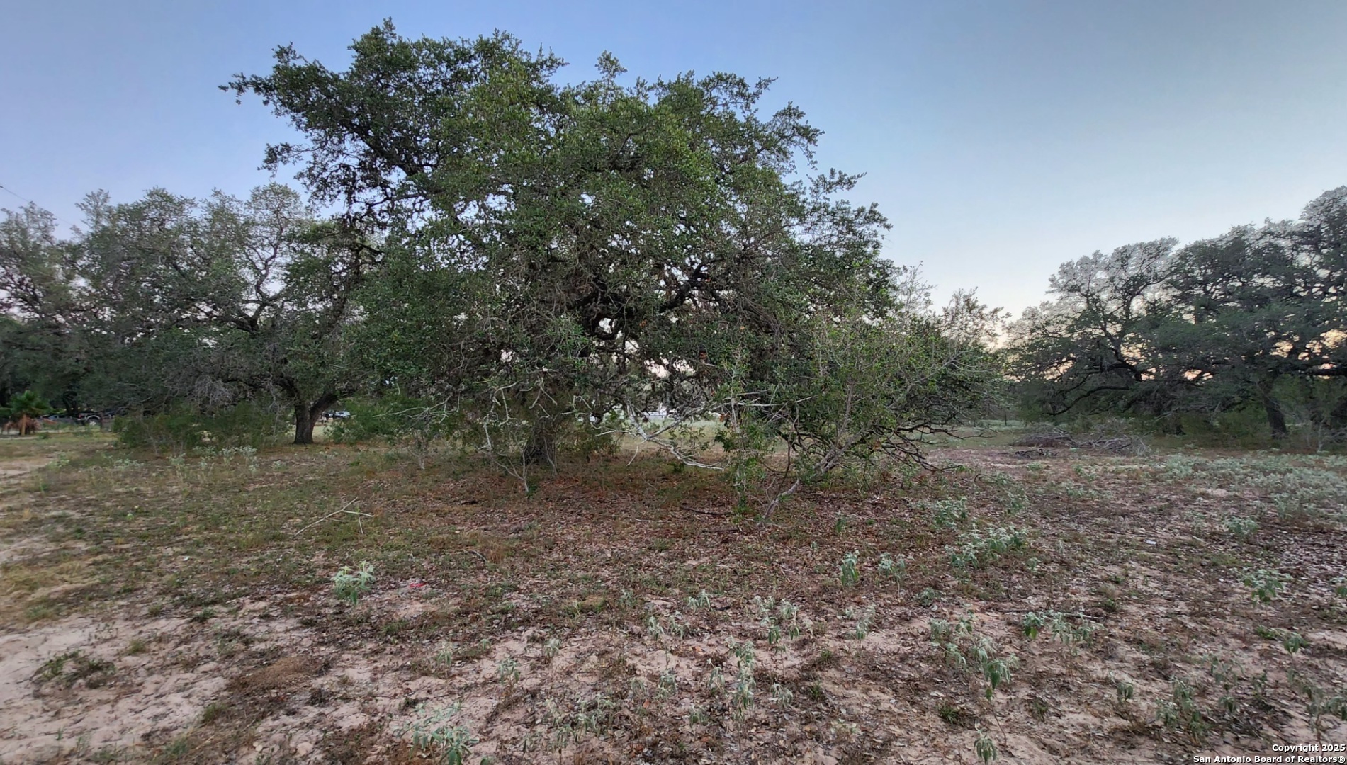 0 Hardy Road Elmendorf, TX 78112 - Photo 18 of 27 a view of a forest with trees in the background