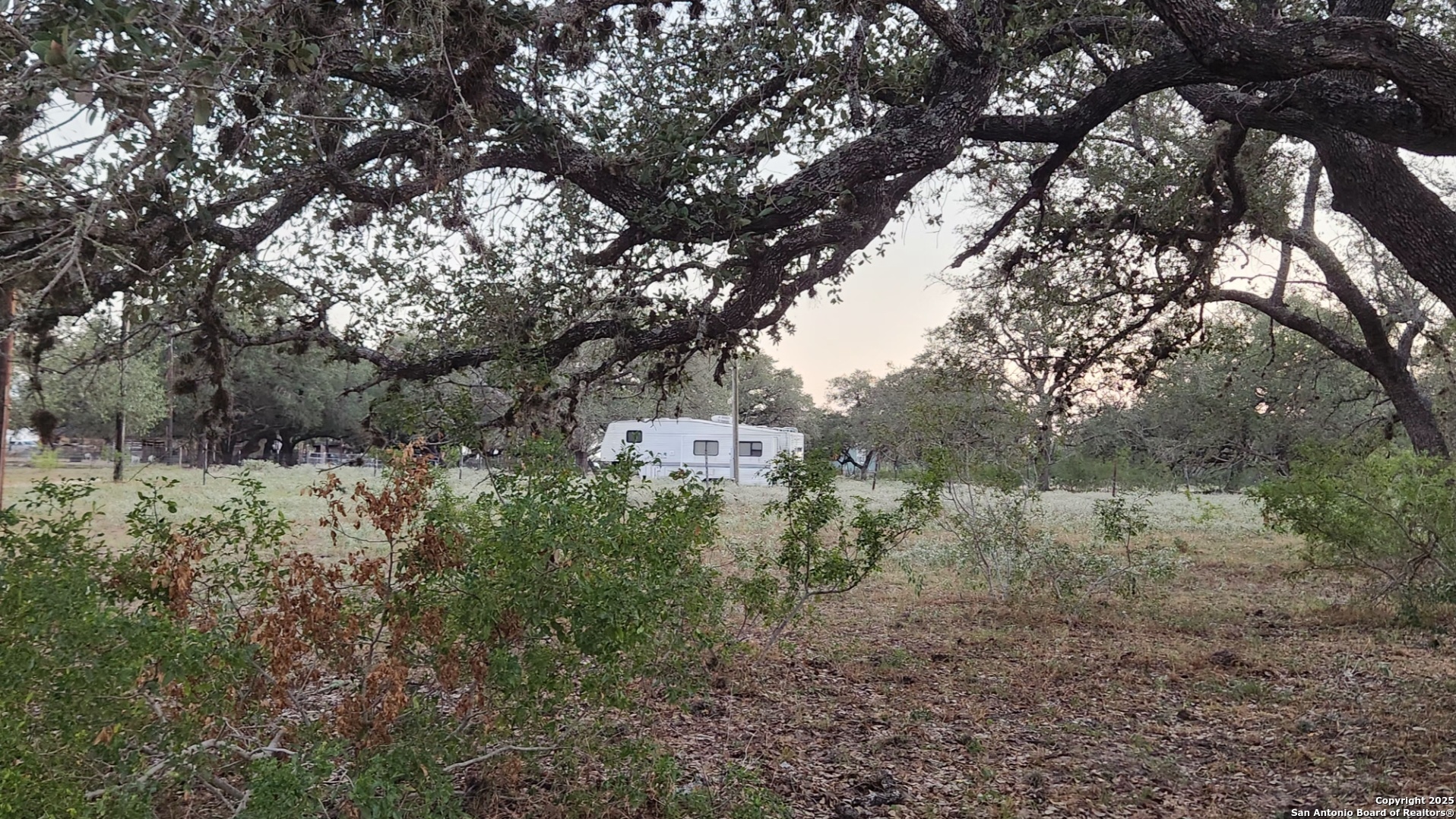 0 Hardy Road Elmendorf, TX 78112 - Photo 20 of 27 a view of a forest filled with trees