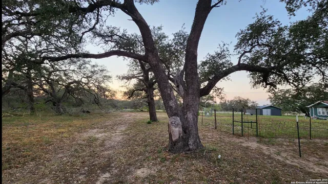 a view of a yard with a tree