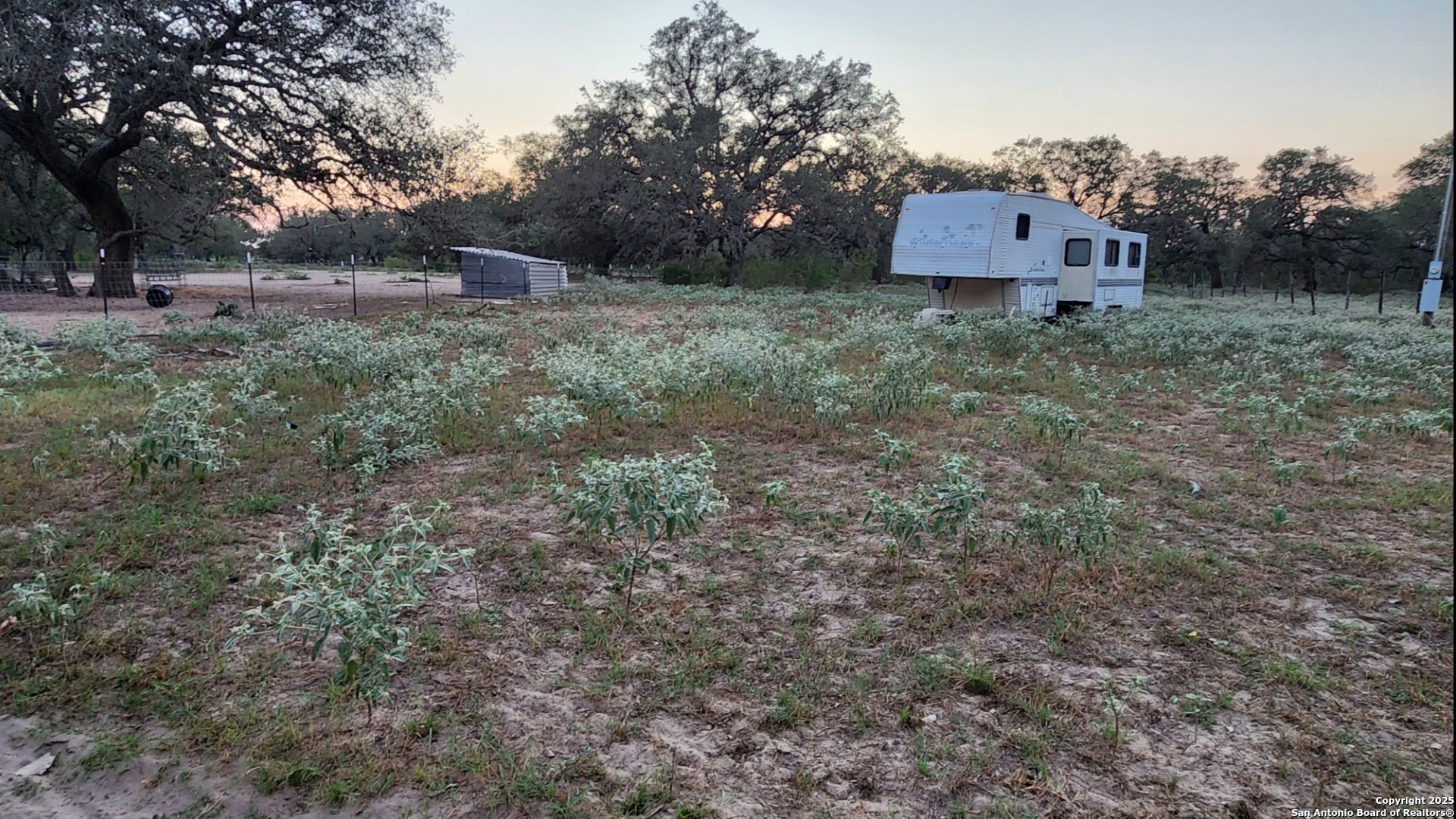 0 Hardy Road Elmendorf, TX 78112 - Photo 8 of 27 a house is covered with tall trees
