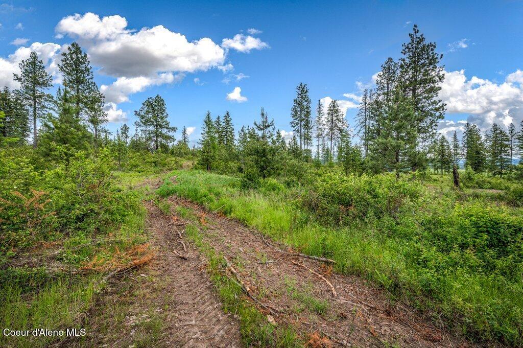 1 Freedom Way Road Plummer, ID 83851 - Photo 34 of 34 --45.jpg-SMALL