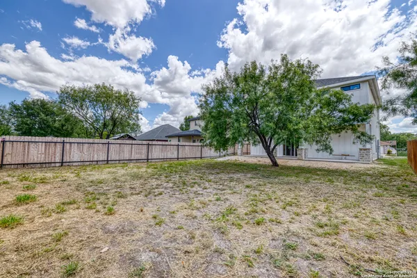 a view of backyard with tree