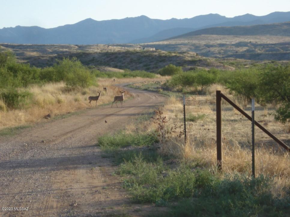 13367 South Grey Bear Road Willcox, AZ 85643 - Photo 10 of 11 Gallery Image 10