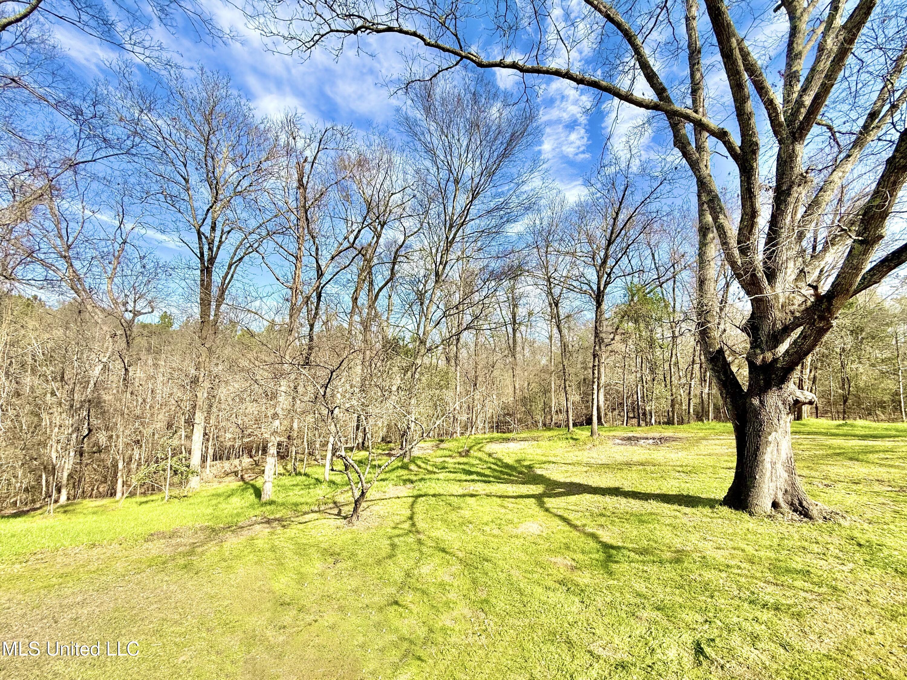 4194 Burt Loop Road Crystal Springs, MS 39059 - Photo 39 of 46 IMG_9083