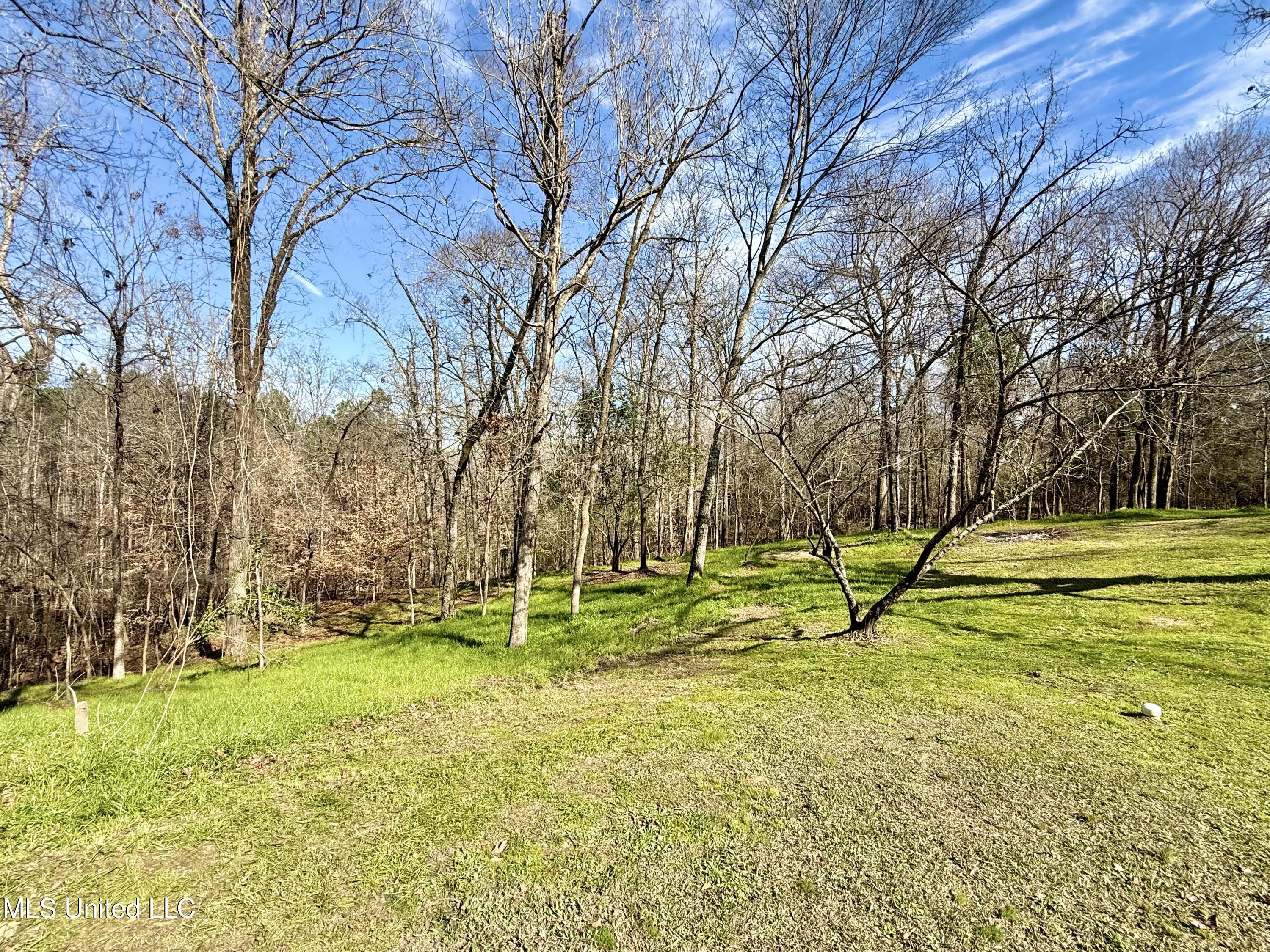 4194 Burt Loop Road Crystal Springs, MS 39059 - Photo 41 of 46 IMG_9135