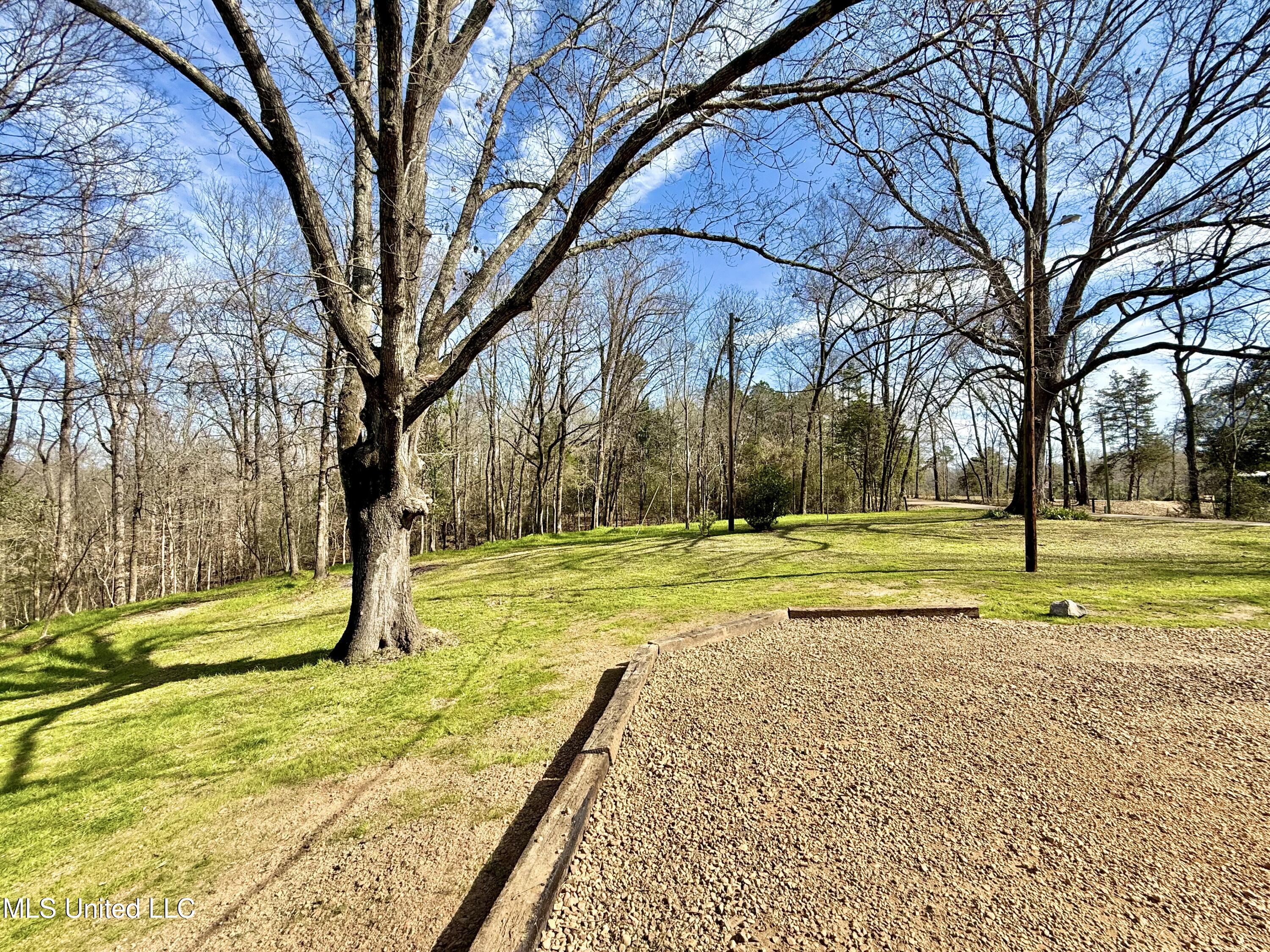 4194 Burt Loop Road Crystal Springs, MS 39059 - Photo 44 of 46 IMG_9088