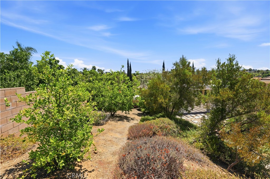 1979 Natalie Lane Riverside, CA 92506 - Photo 34 of 52