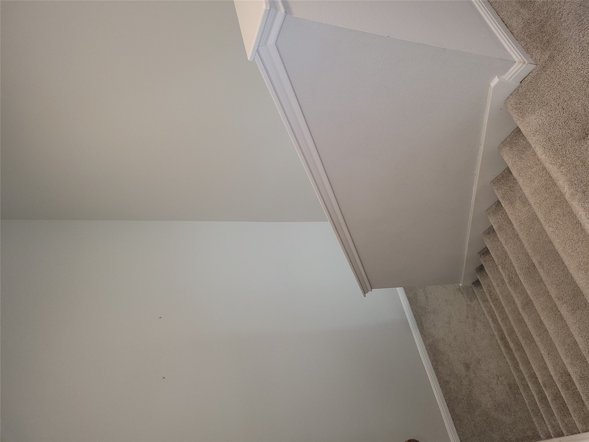 8308 Daisy Cutter Crossing Georgetown, TX 78626 - Photo 15 of 27 A well-maintained staircase featuring plush carpet and a sturdy banister.