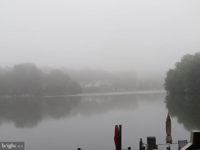 11184 Harbor Court Reston, VA 20191 - Photo 29 of 32 Silhouetted mist