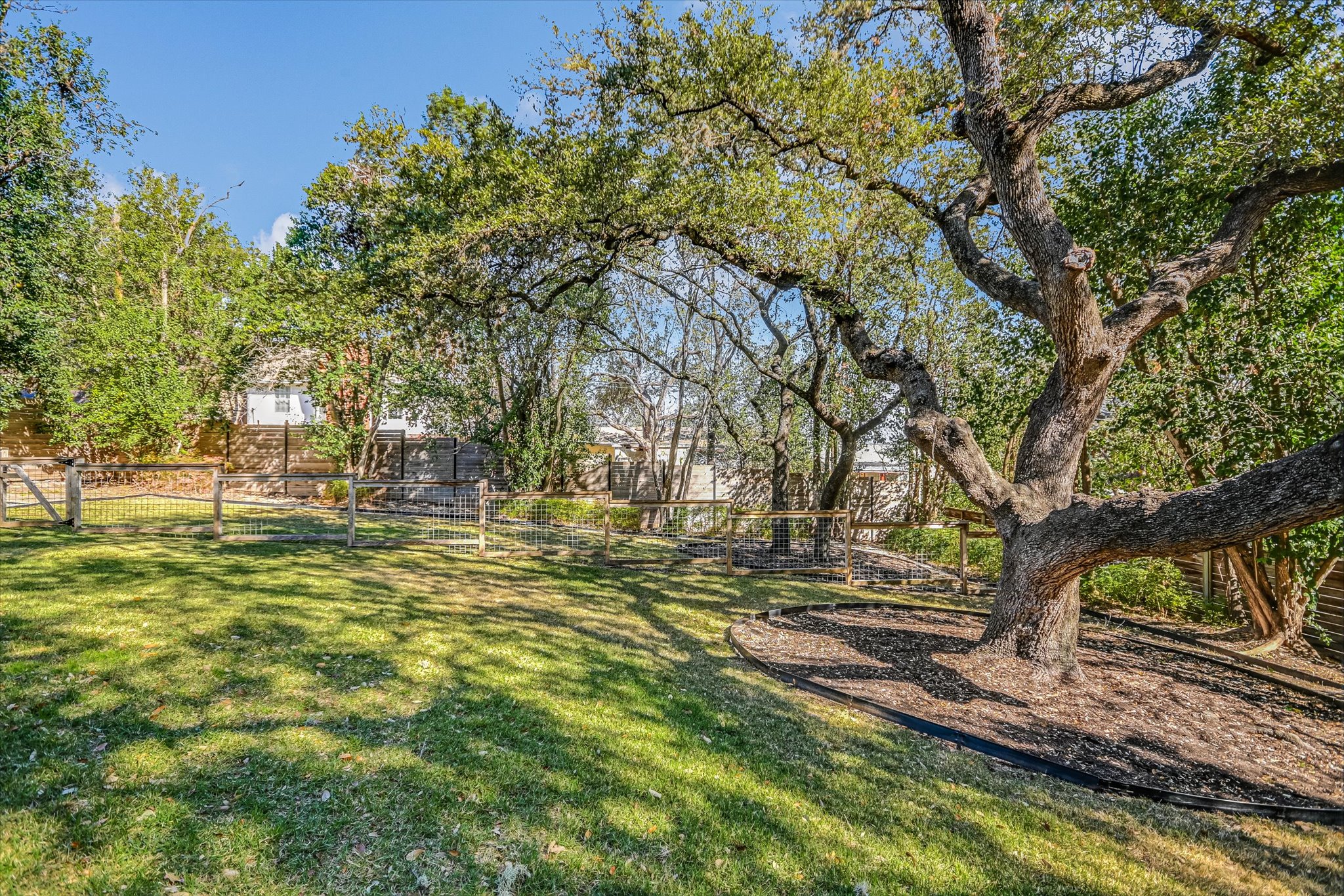 410 West Alpine Road, Unit 4 Austin, TX 78704 - Photo 23 of 24 a view of yard with trees