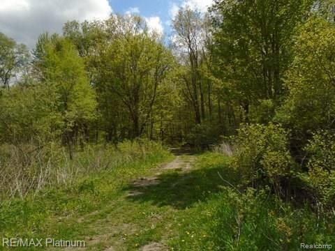 8070 Silver Lake Road Linden, MI 48451 - Photo 21 of 25 Gallery Image 21