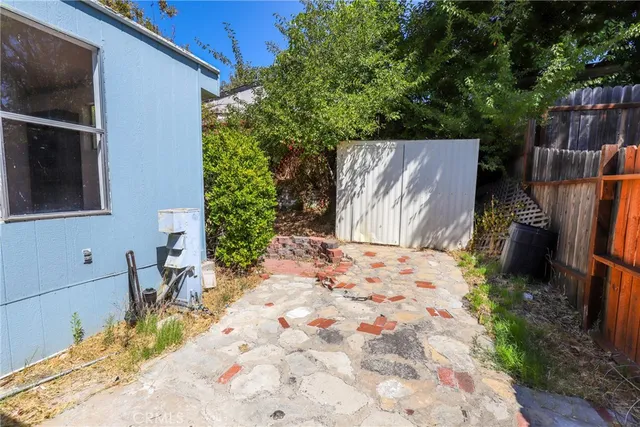 a view of a yard with plants and large trees