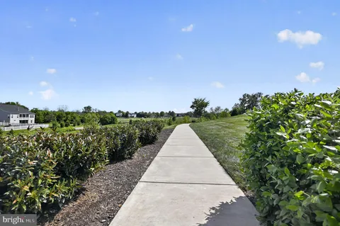 a view of a garden