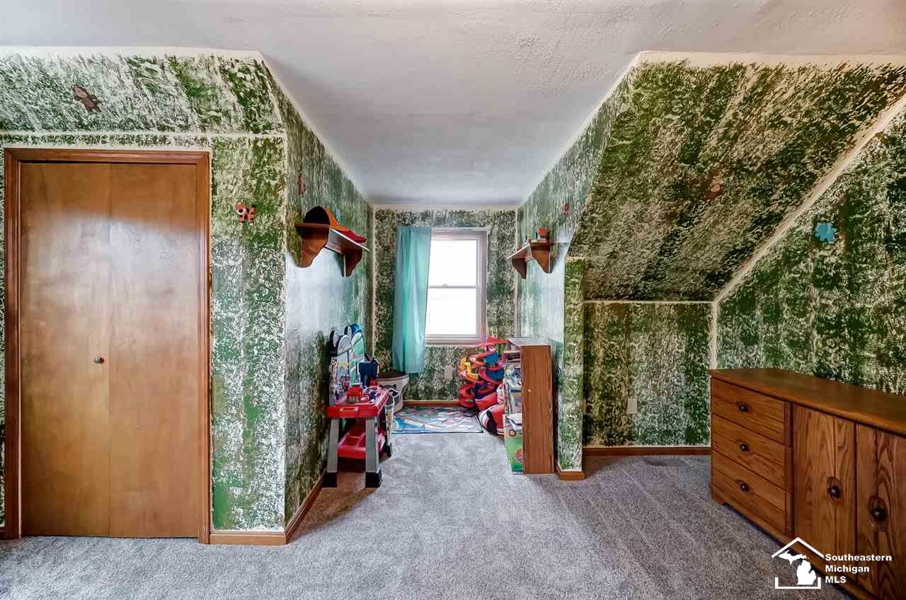 10954 Minx Road Erie, MI 48133 - Photo 21 of 33 50004795-20.JPG