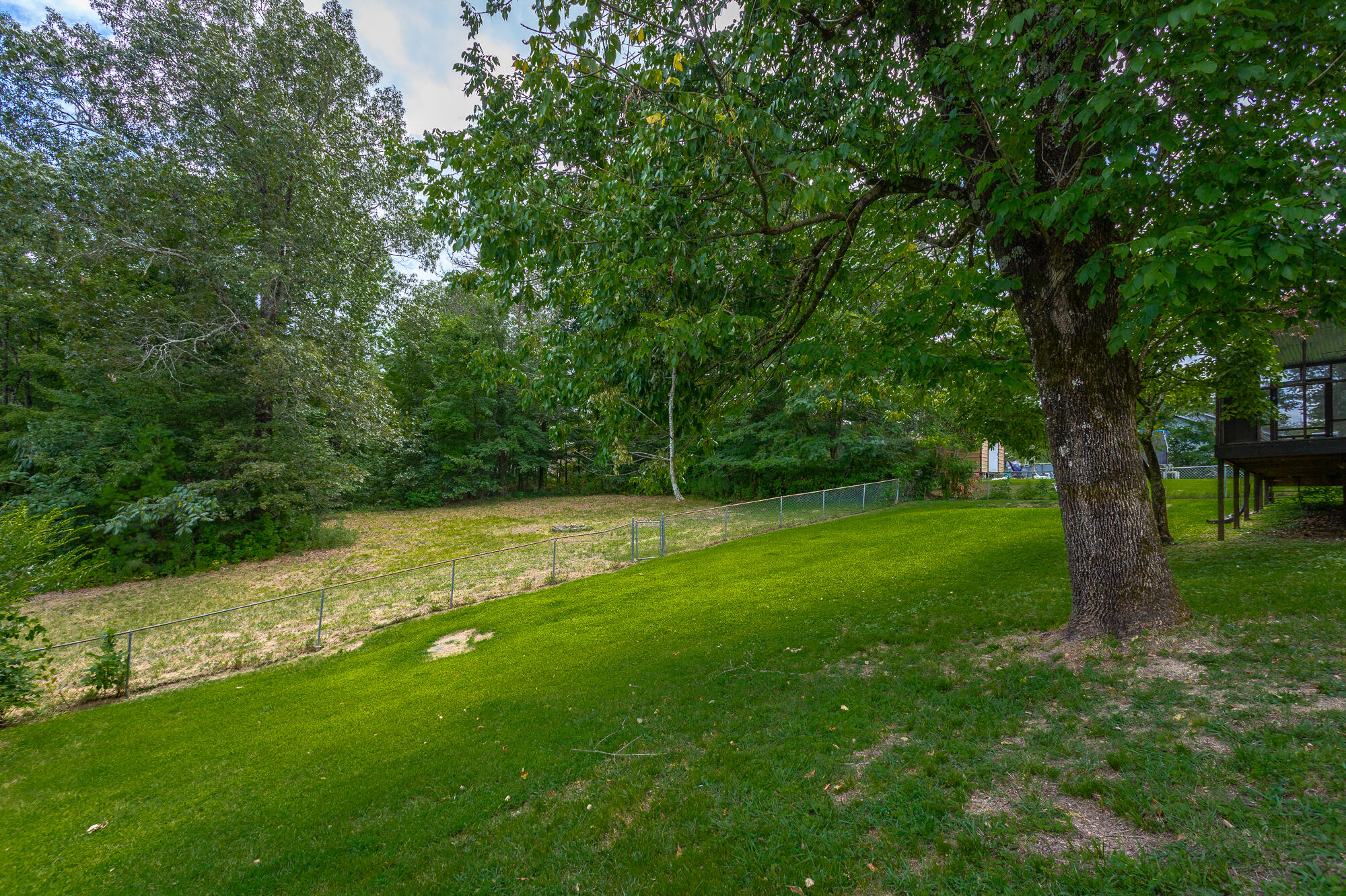 157 Bell Road Chickamauga, GA 30707 - Photo 4 of 31 Back yard
