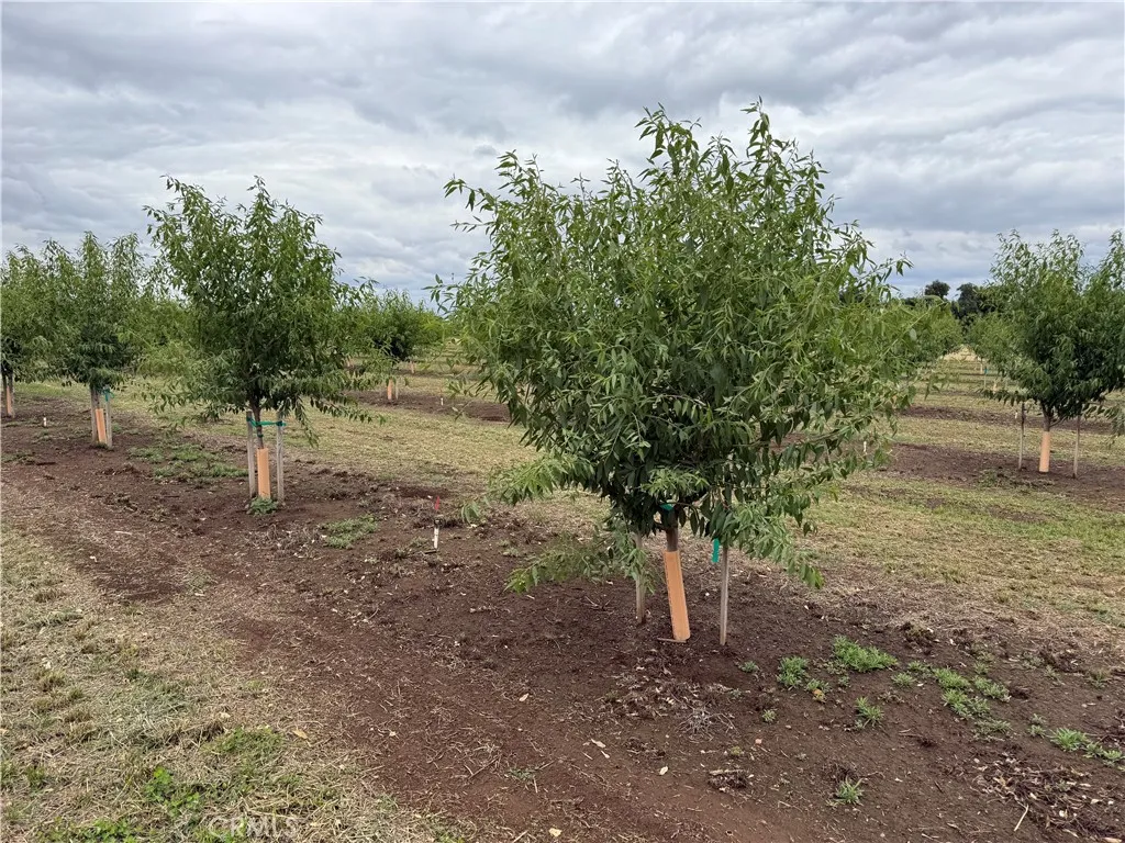0 Hegan Chico, CA 95928 - Photo 2 of 4