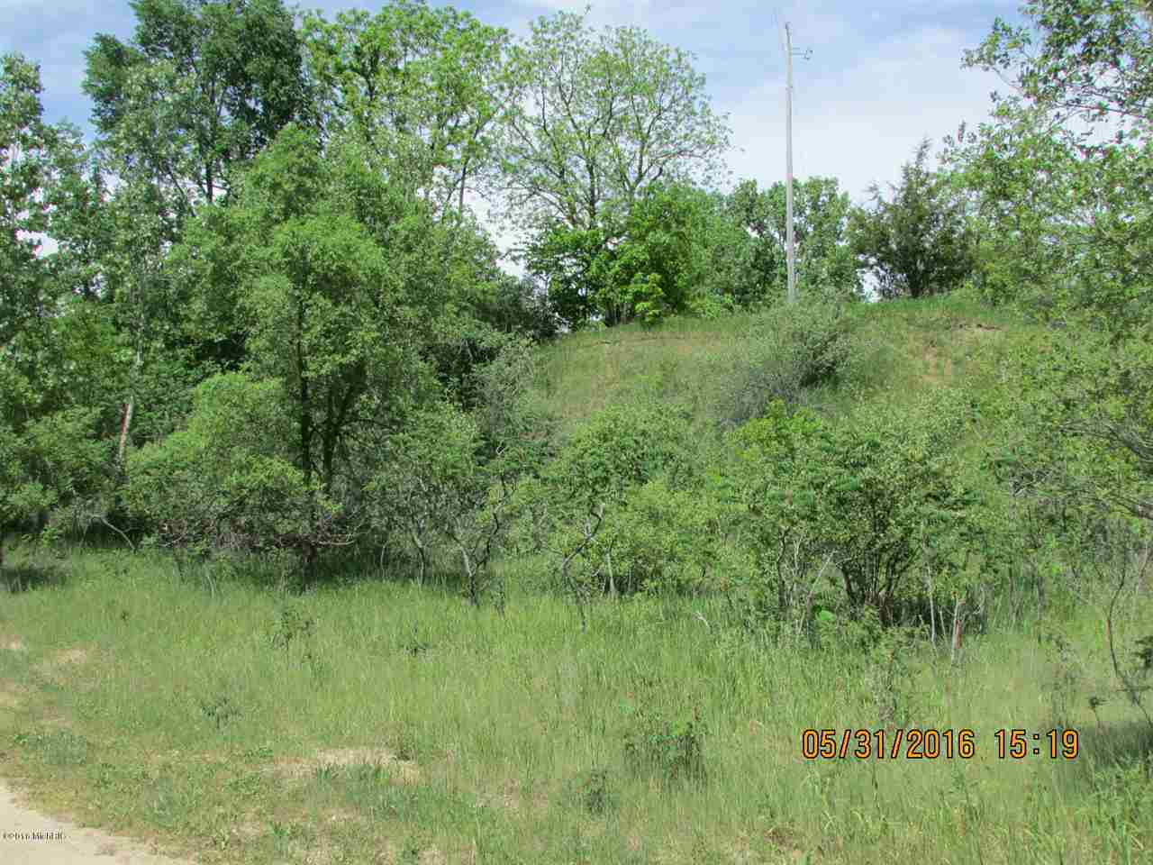 2 Brott Road Montgomery, MI 49255 - Photo 4 of 6