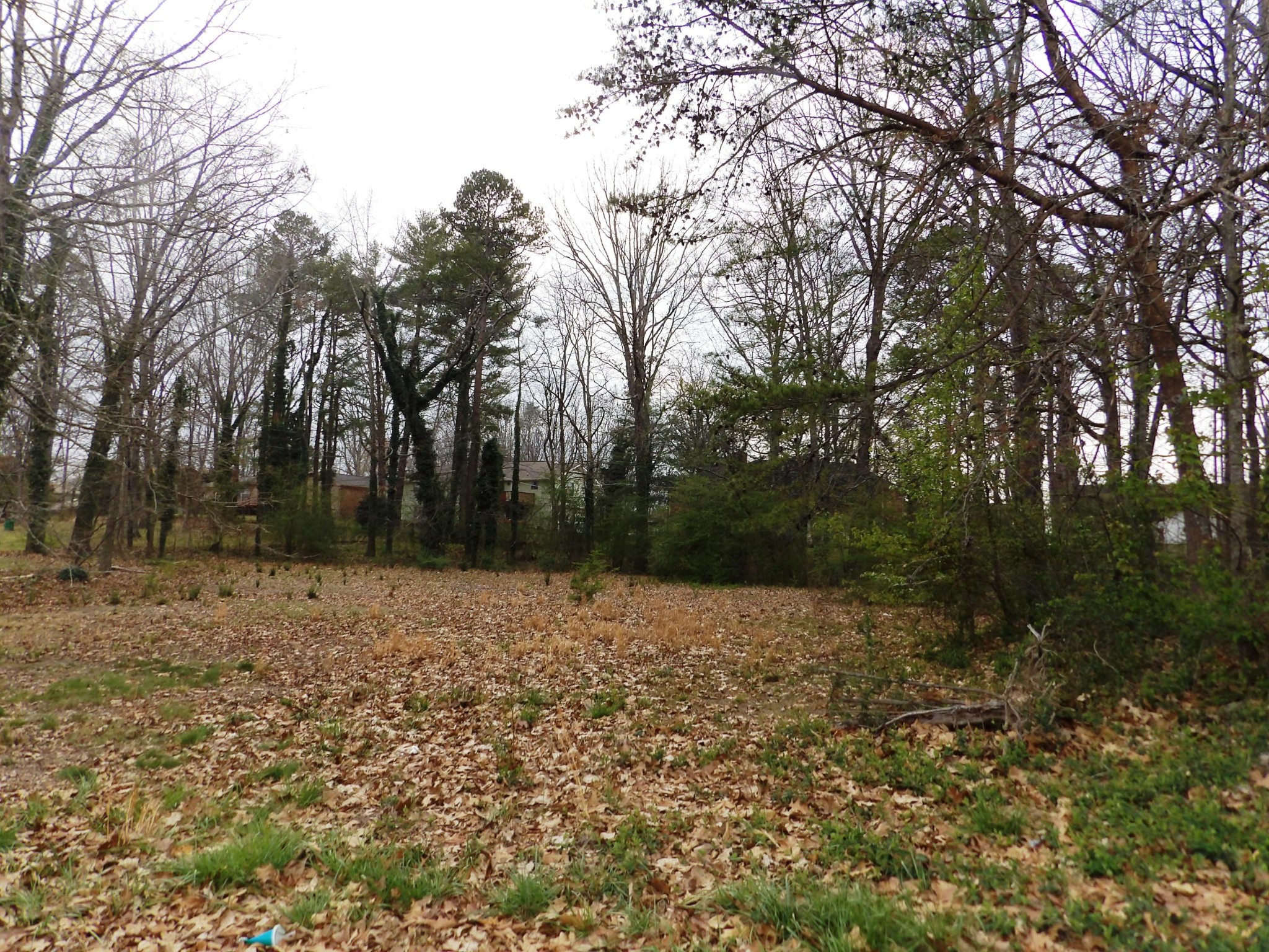 14 Cicero Trail Chattanooga, TN 37421 - Photo 3 of 8