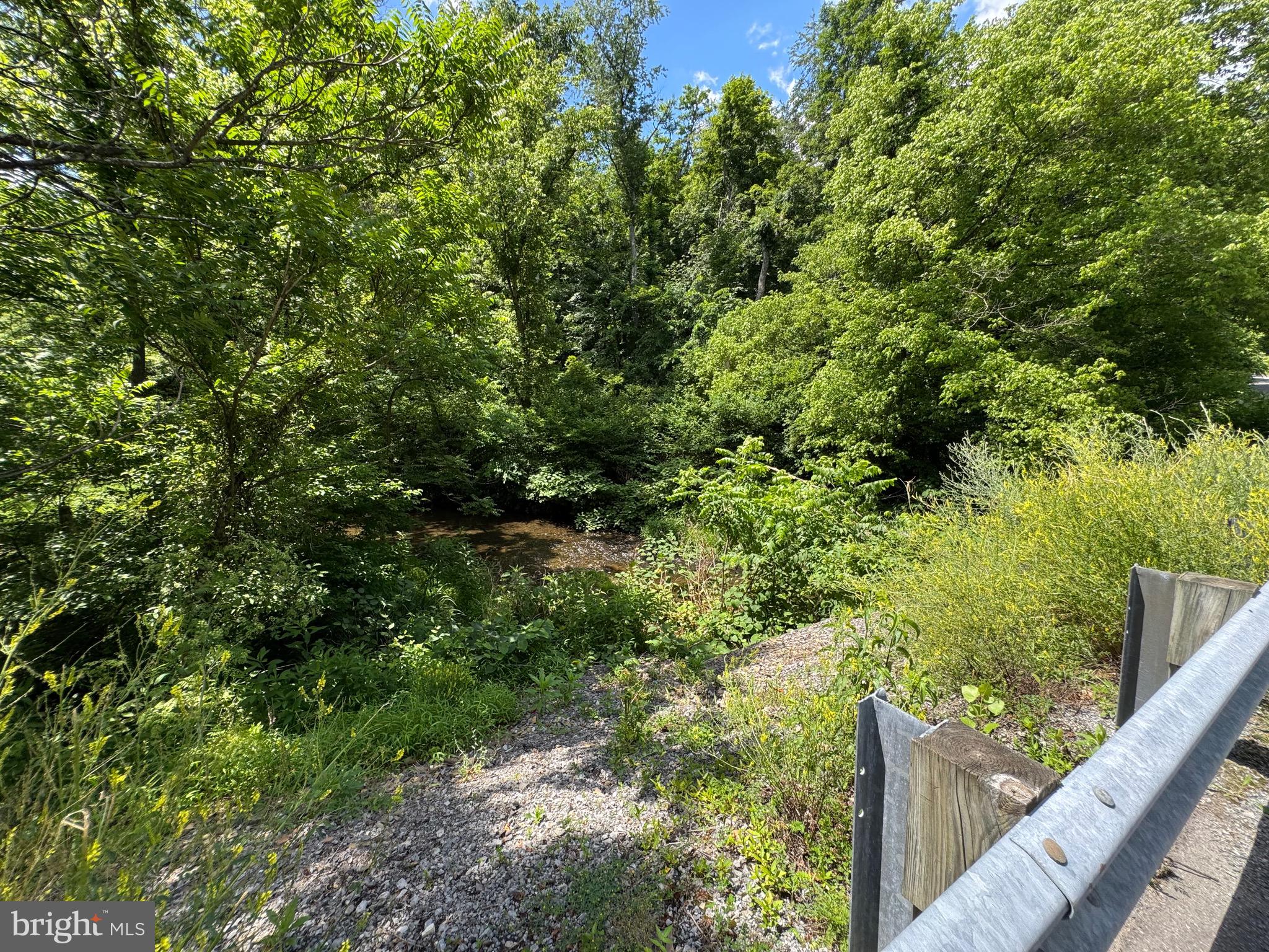 Sand Mine Rd Creek, Unit BY Berkeley Springs, WV 25411 - Photo 7 of 11