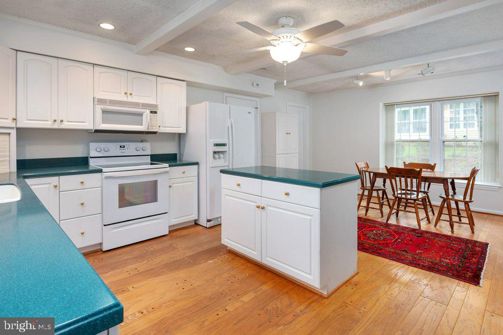 846 Woodmont Road Annapolis, MD 21401 - Photo 15 of 34 Ceiling Fan & Light 2016