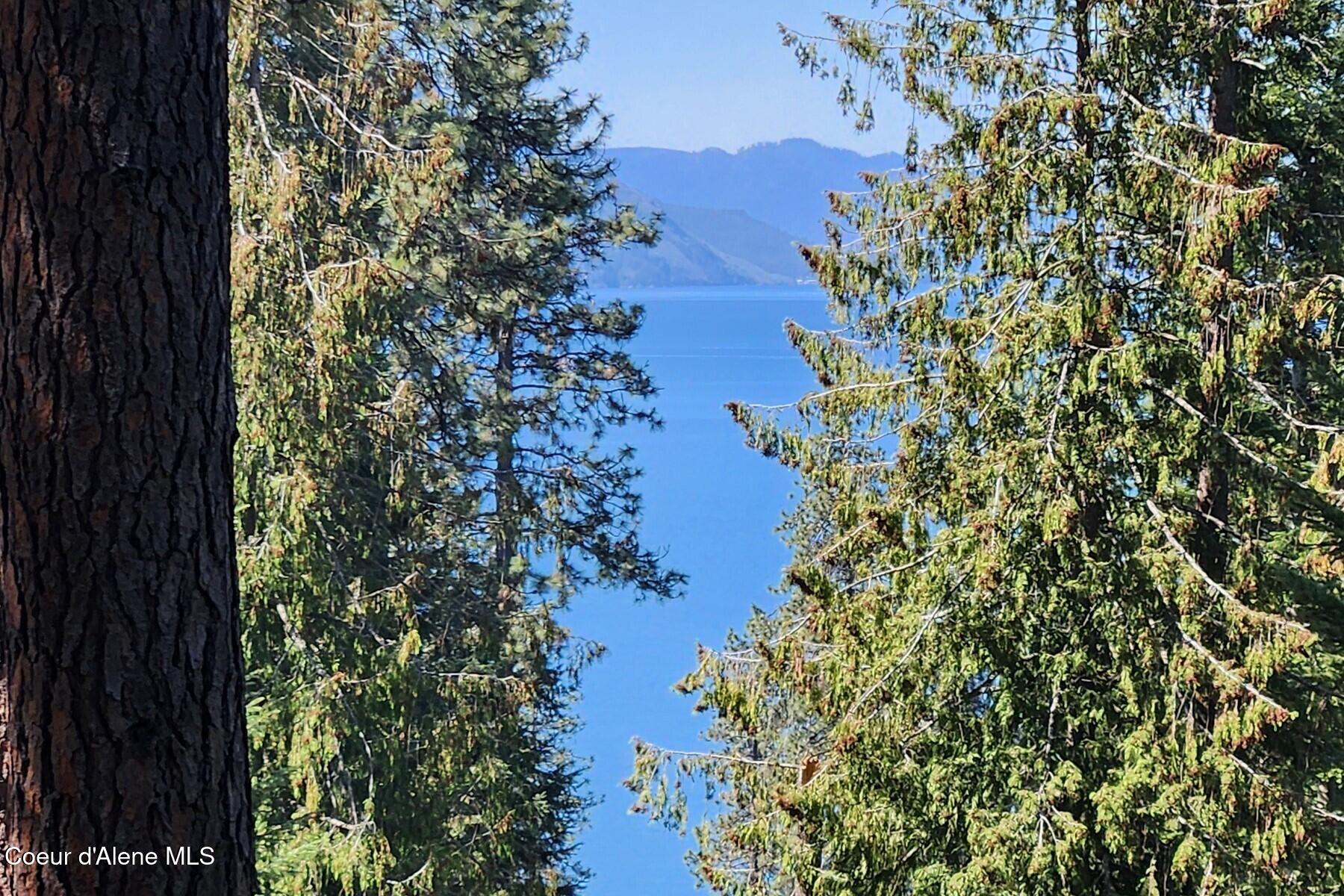 Nna East David Thompson Road Hope, ID 83836 - Photo 1 of 37 86429438