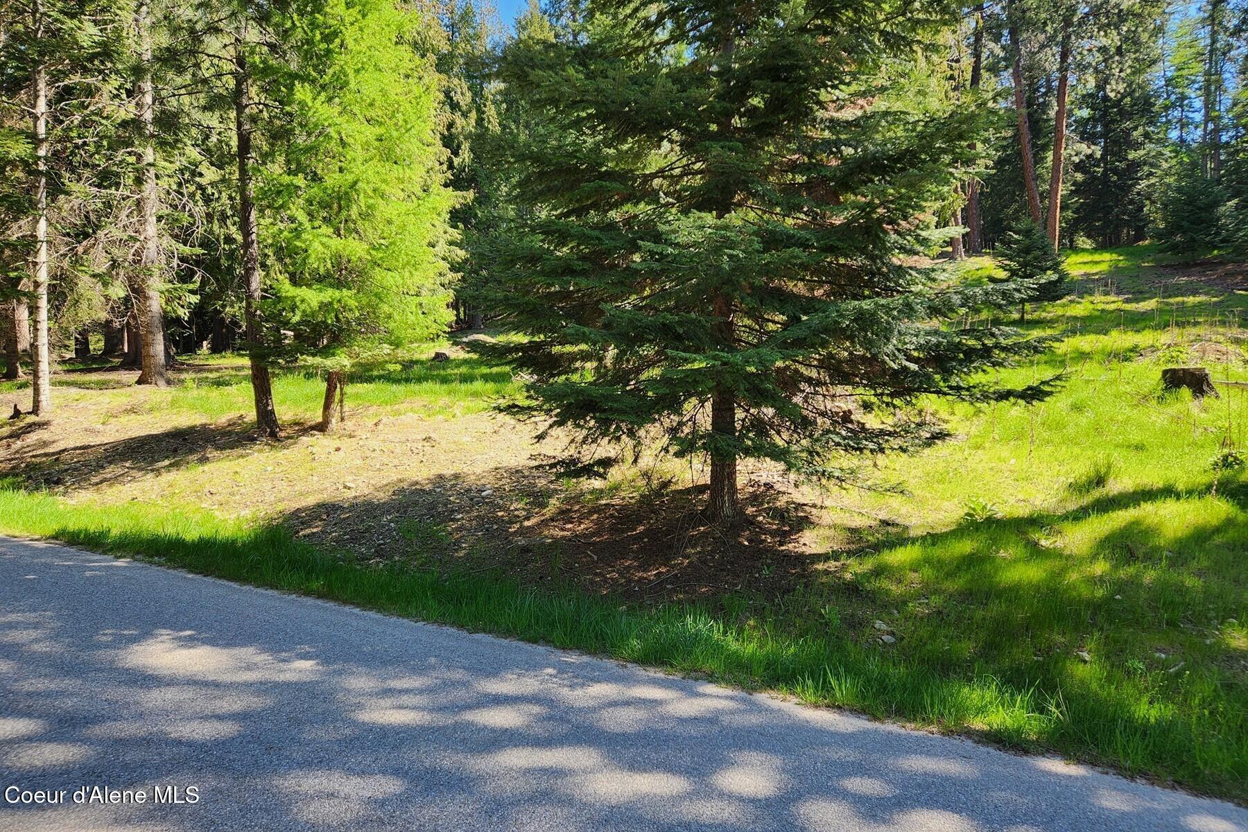 Nna East David Thompson Road Hope, ID 83836 - Photo 15 of 37 86429423