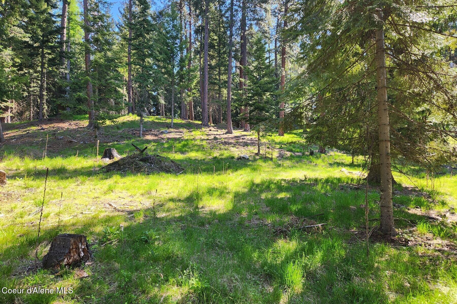 Nna East David Thompson Road Hope, ID 83836 - Photo 16 of 37 86429424