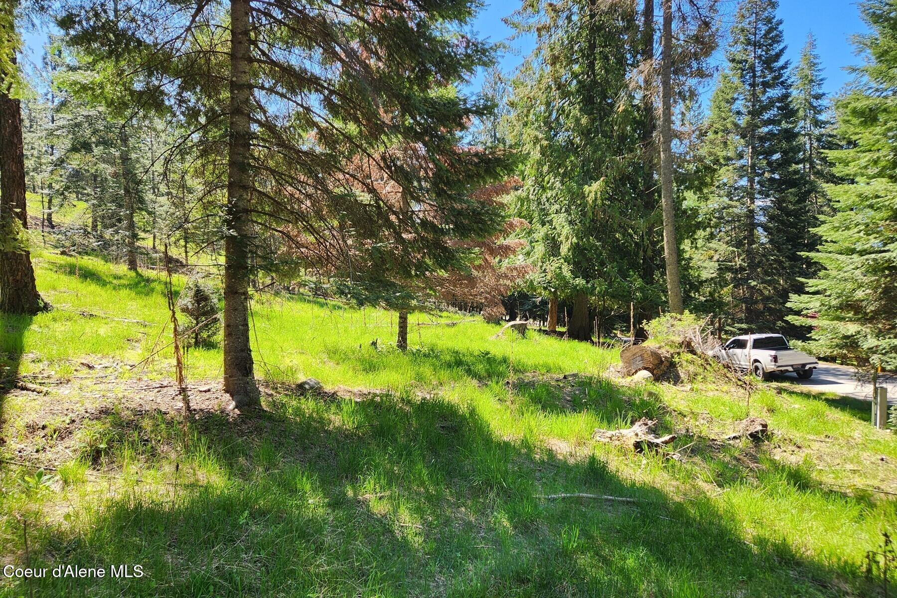 Nna East David Thompson Road Hope, ID 83836 - Photo 17 of 37 86429425