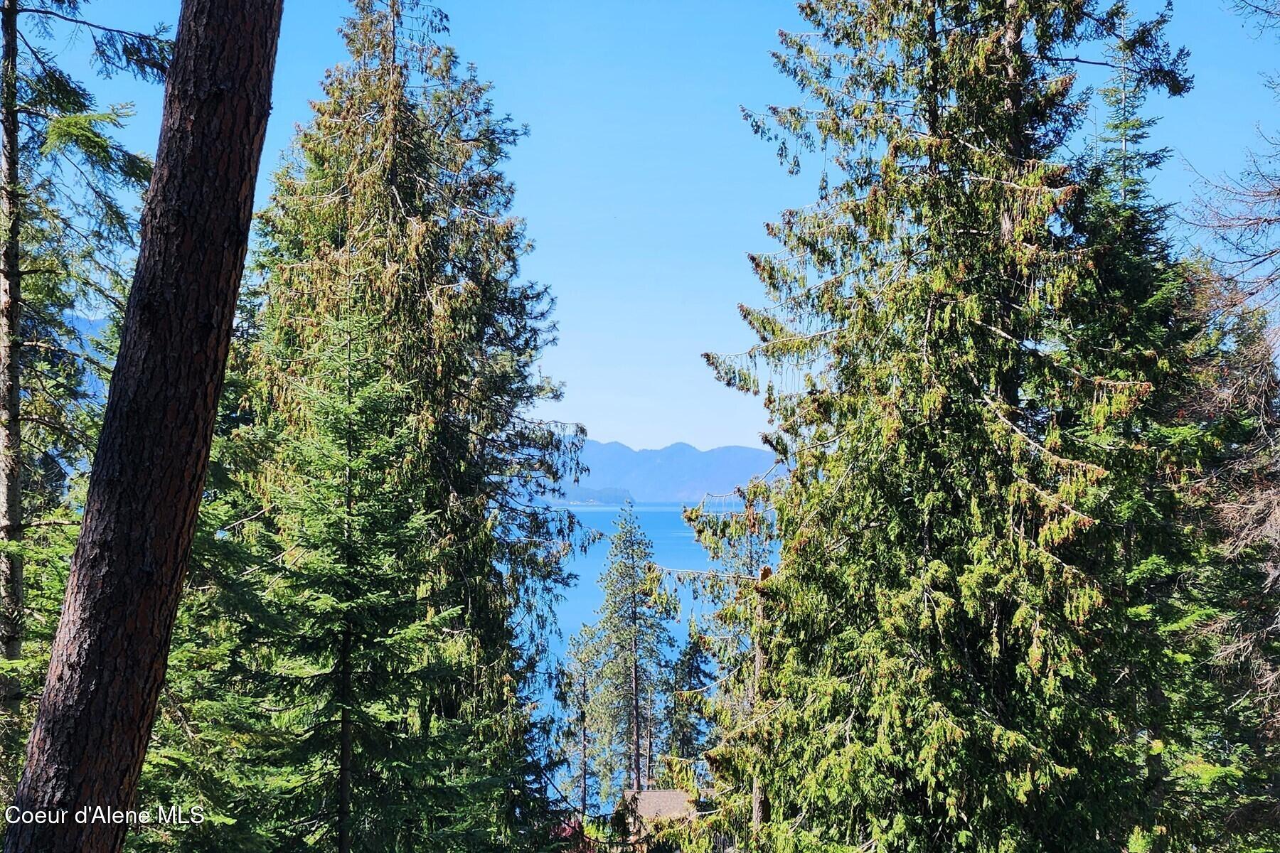 Nna East David Thompson Road Hope, ID 83836 - Photo 18 of 37 86429426