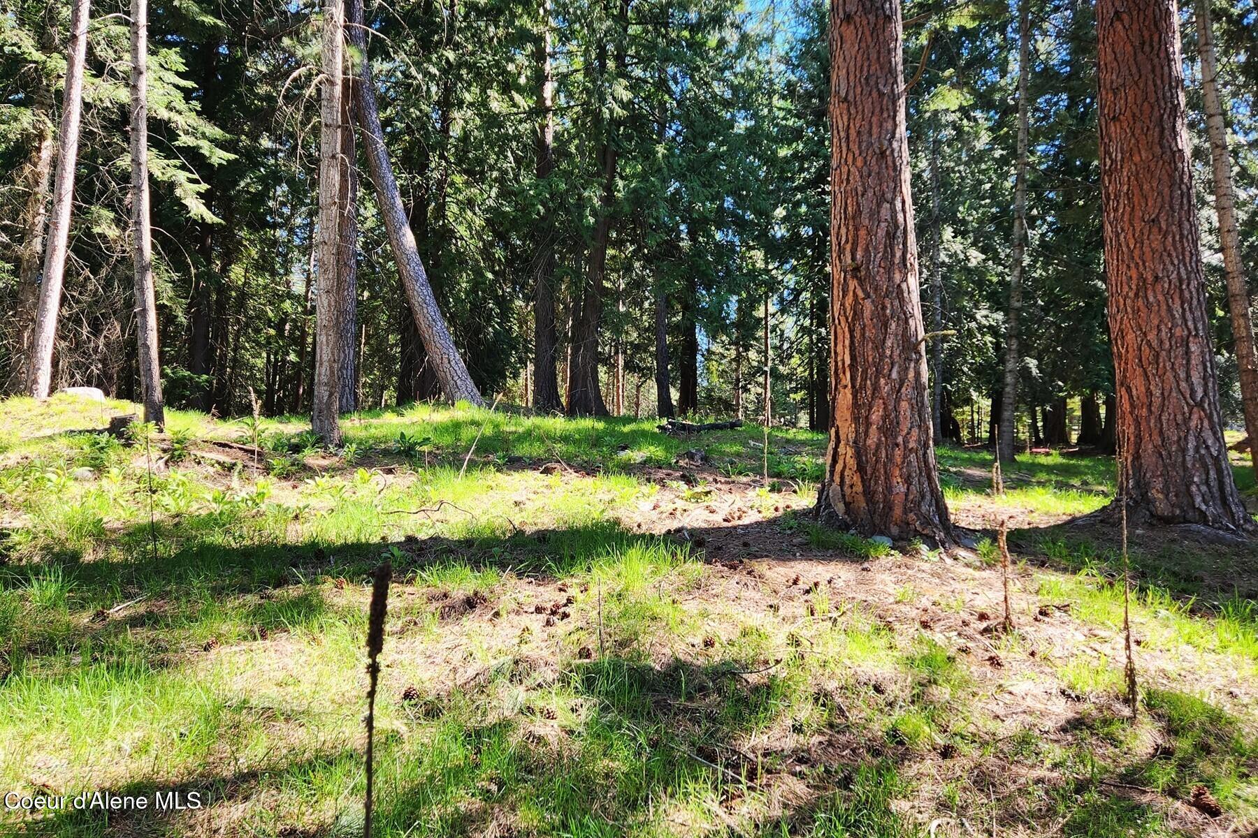 Nna East David Thompson Road Hope, ID 83836 - Photo 19 of 37 86429427