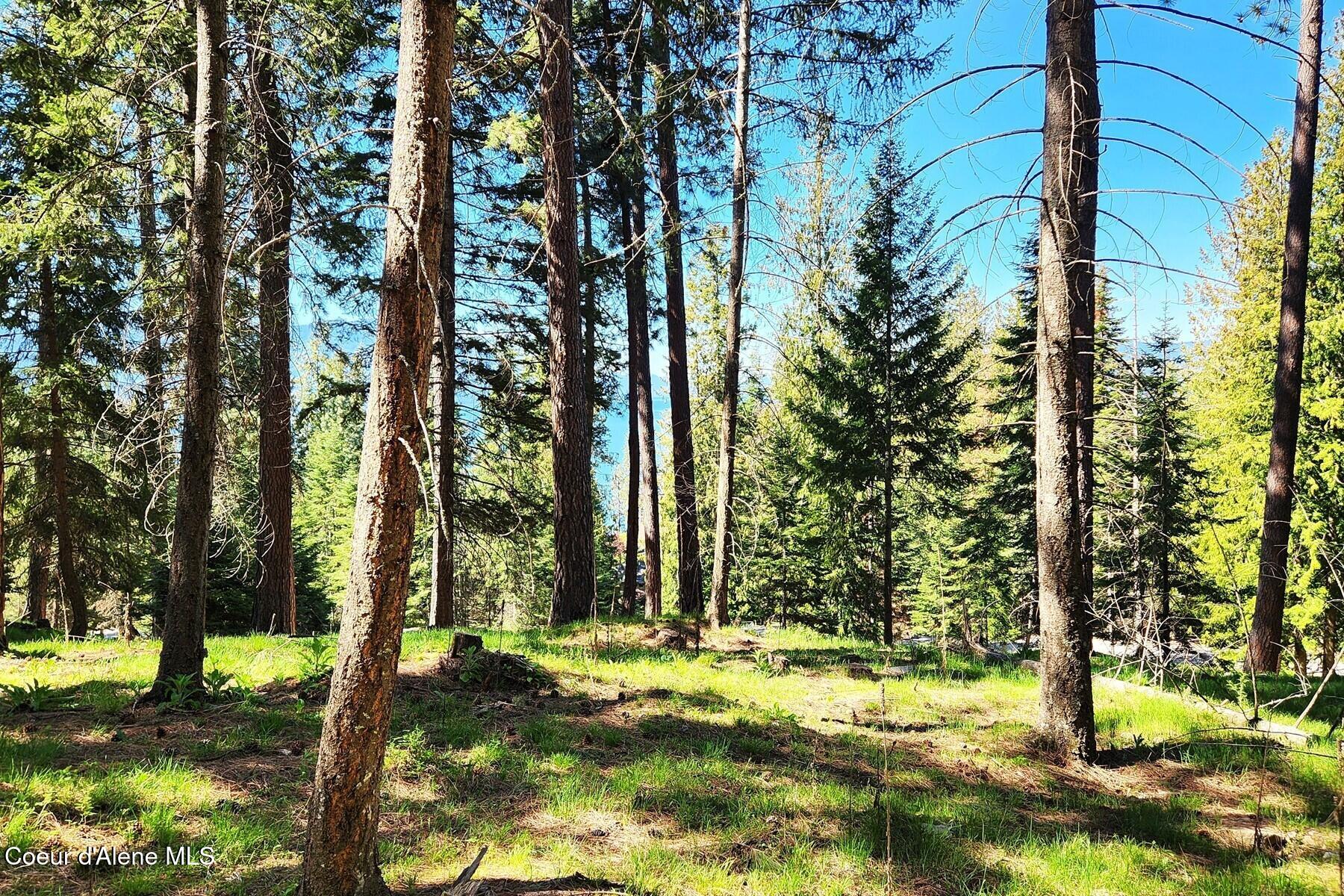 Nna East David Thompson Road Hope, ID 83836 - Photo 20 of 37 86429428