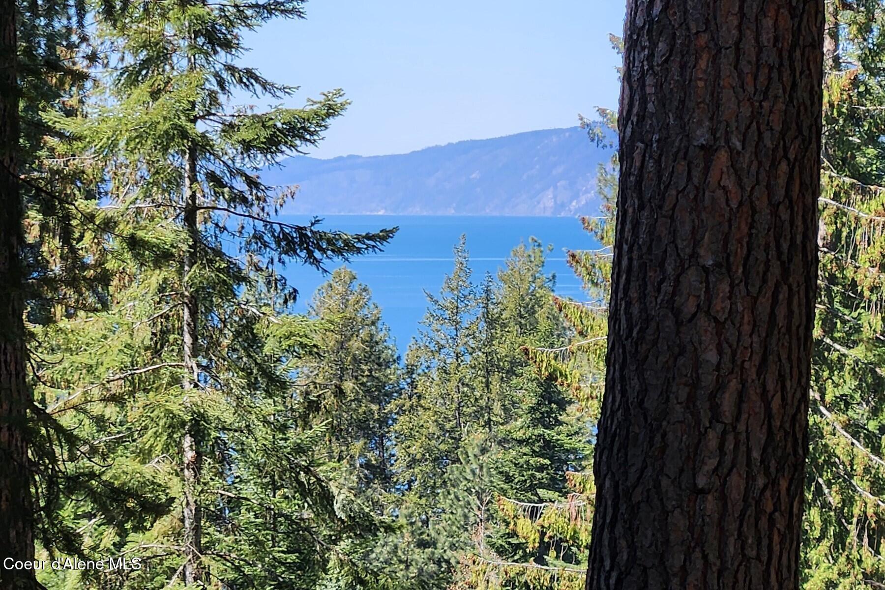 Nna East David Thompson Road Hope, ID 83836 - Photo 2 of 37 86429437