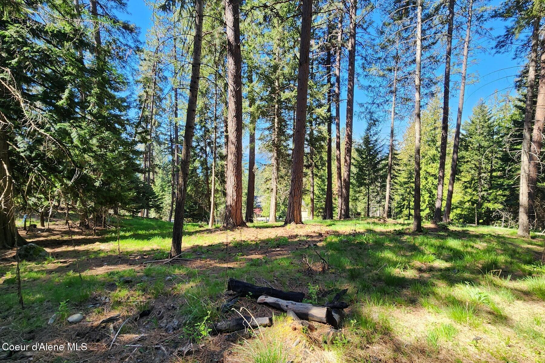Nna East David Thompson Road Hope, ID 83836 - Photo 21 of 37 86429430