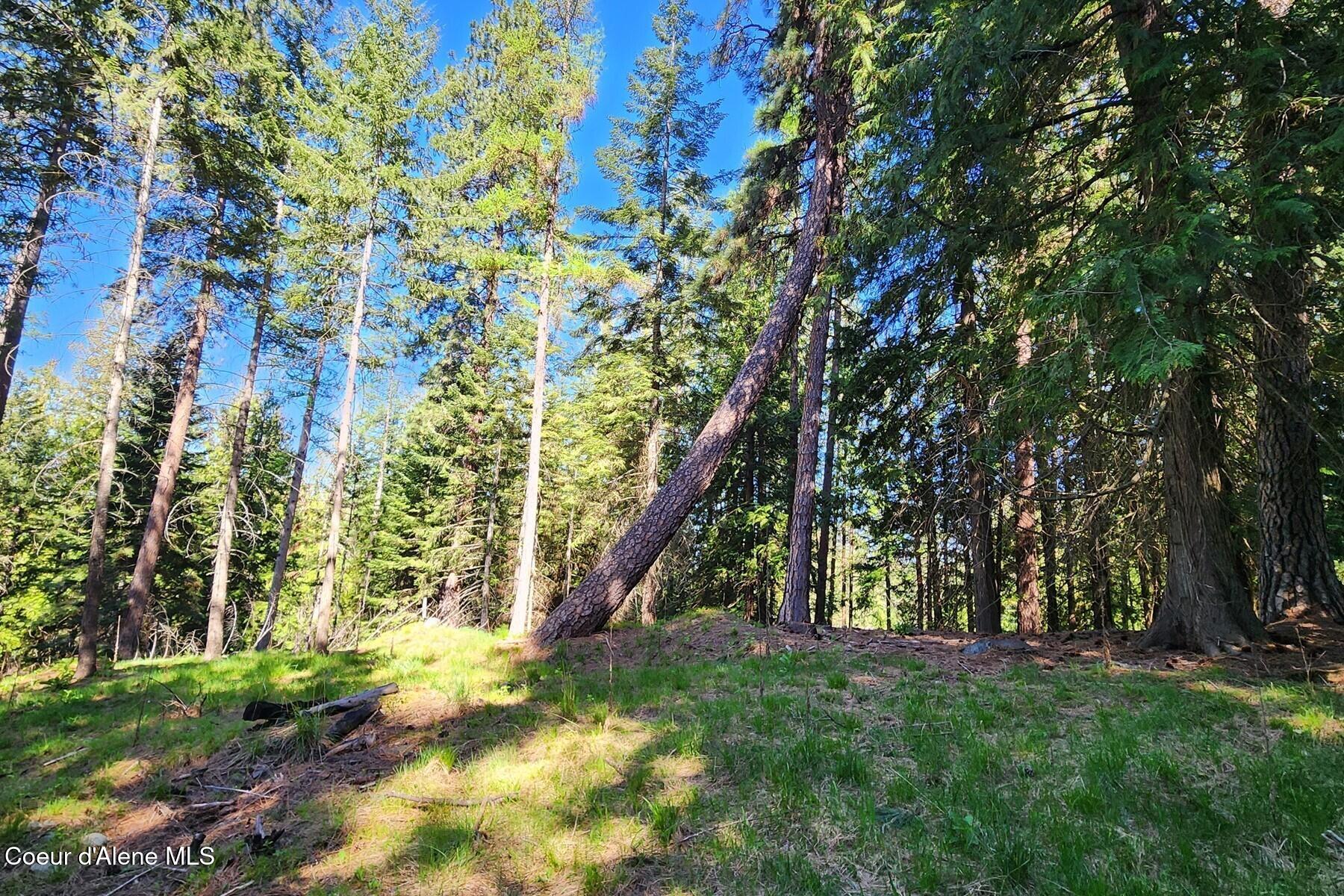 Nna East David Thompson Road Hope, ID 83836 - Photo 22 of 37 86429431