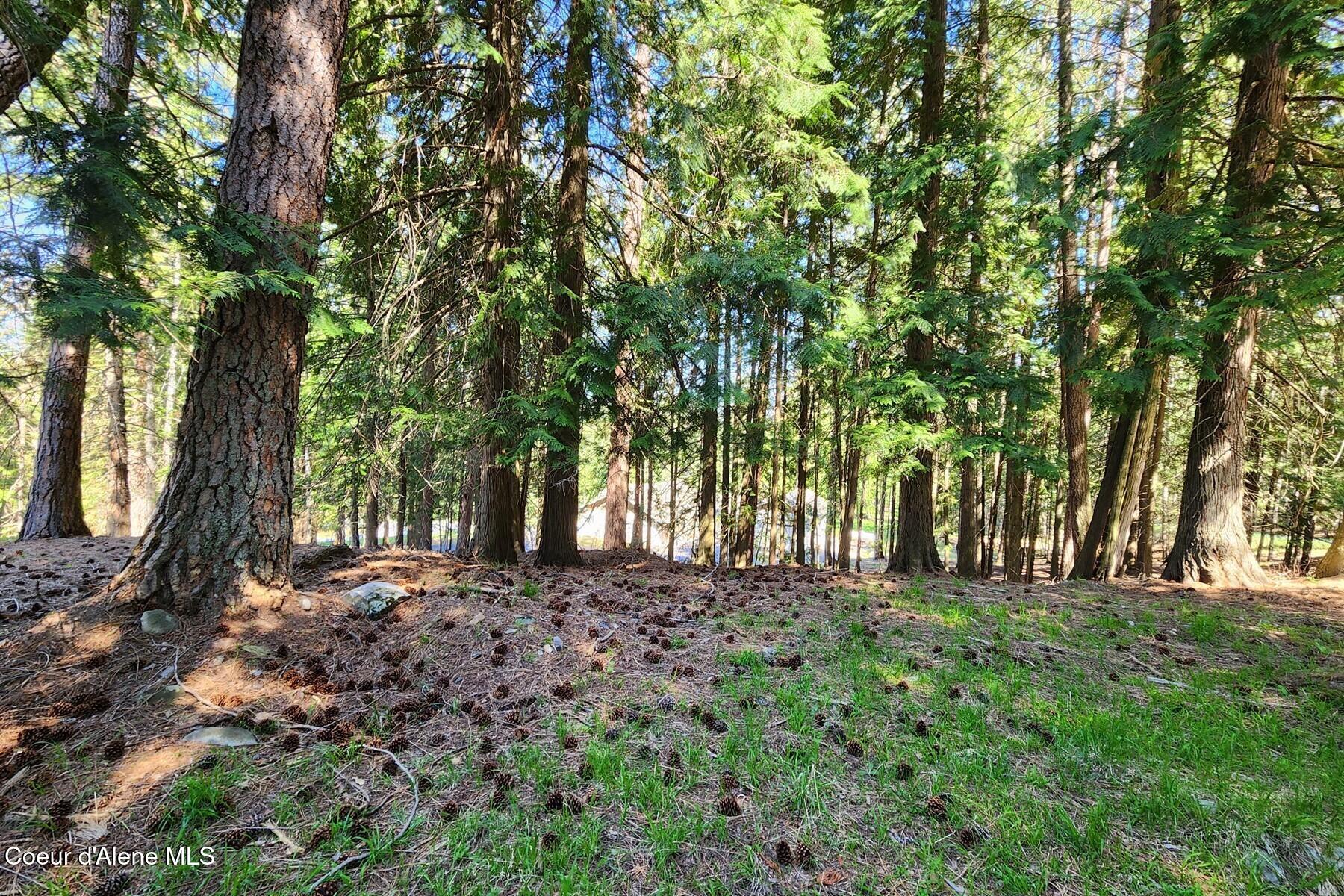 Nna East David Thompson Road Hope, ID 83836 - Photo 23 of 37 86429432