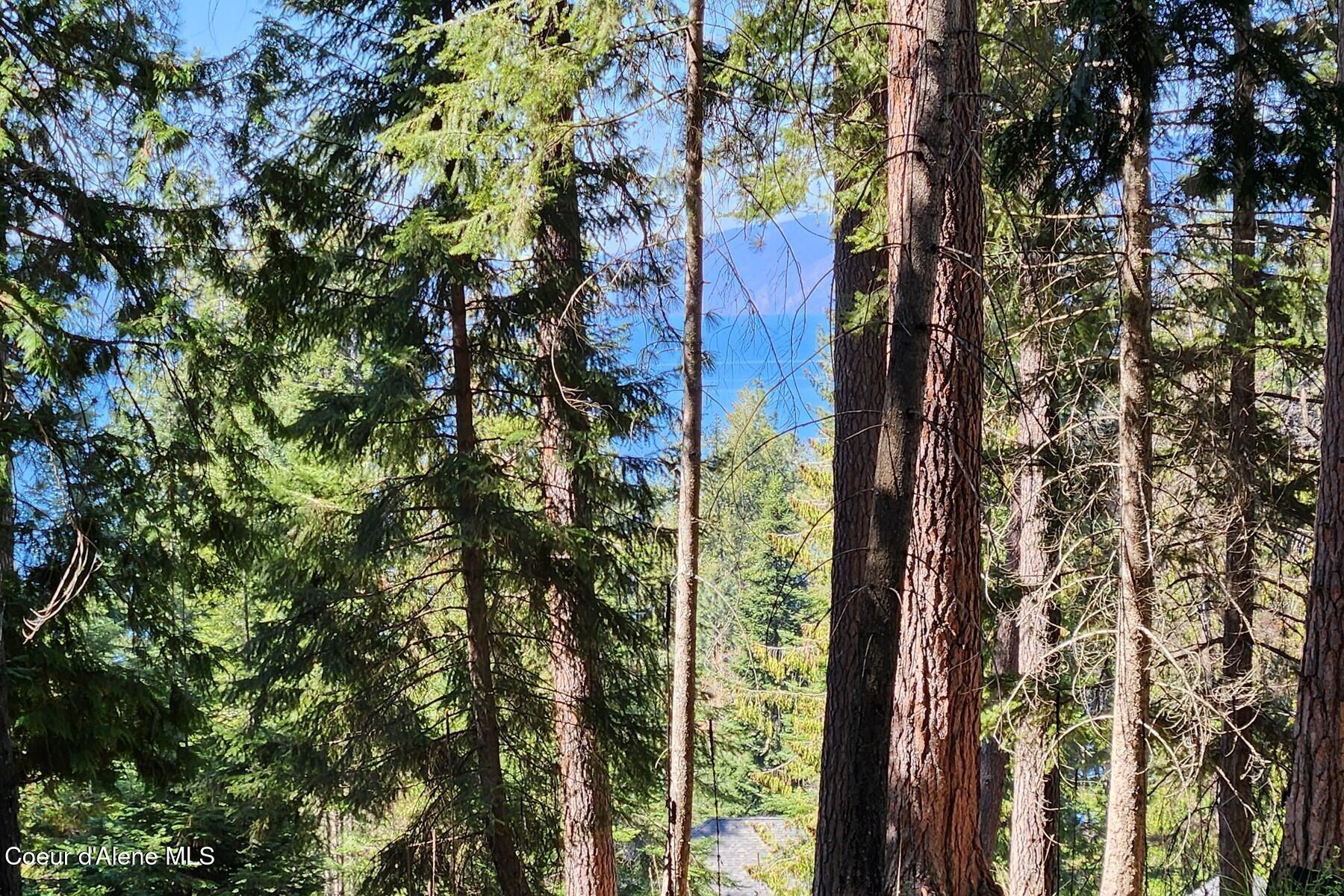 Nna East David Thompson Road Hope, ID 83836 - Photo 24 of 37 86429433