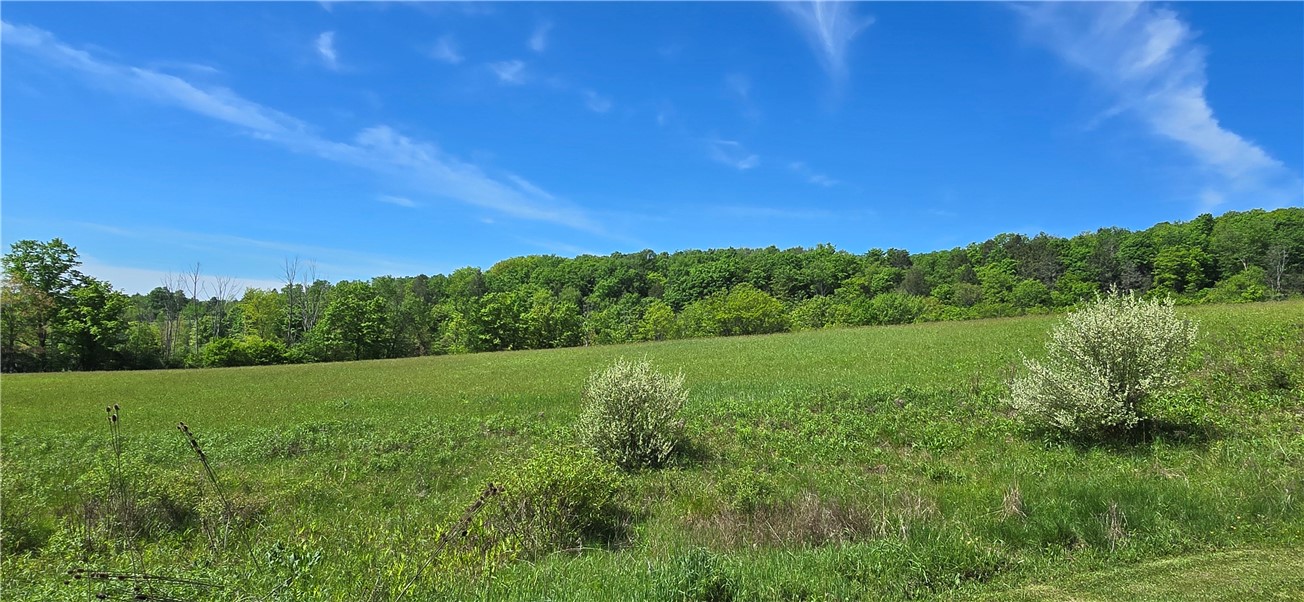 324 Murphy Hill Road Catlin, NY 14845 - Photo 42 of 47