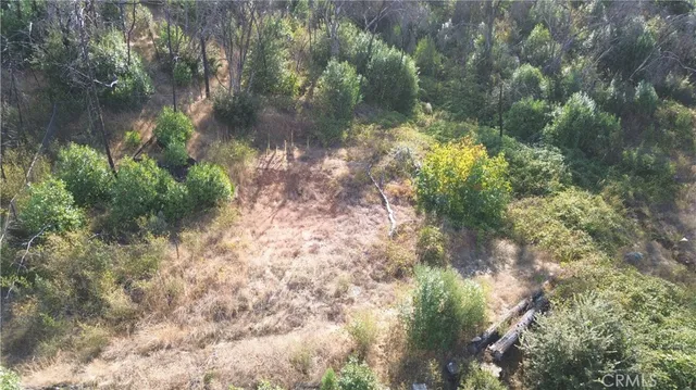 a view of plant from a window