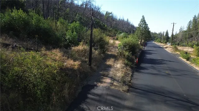 a view of a garden with a plant