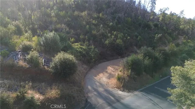 a view of a city with lush green forest