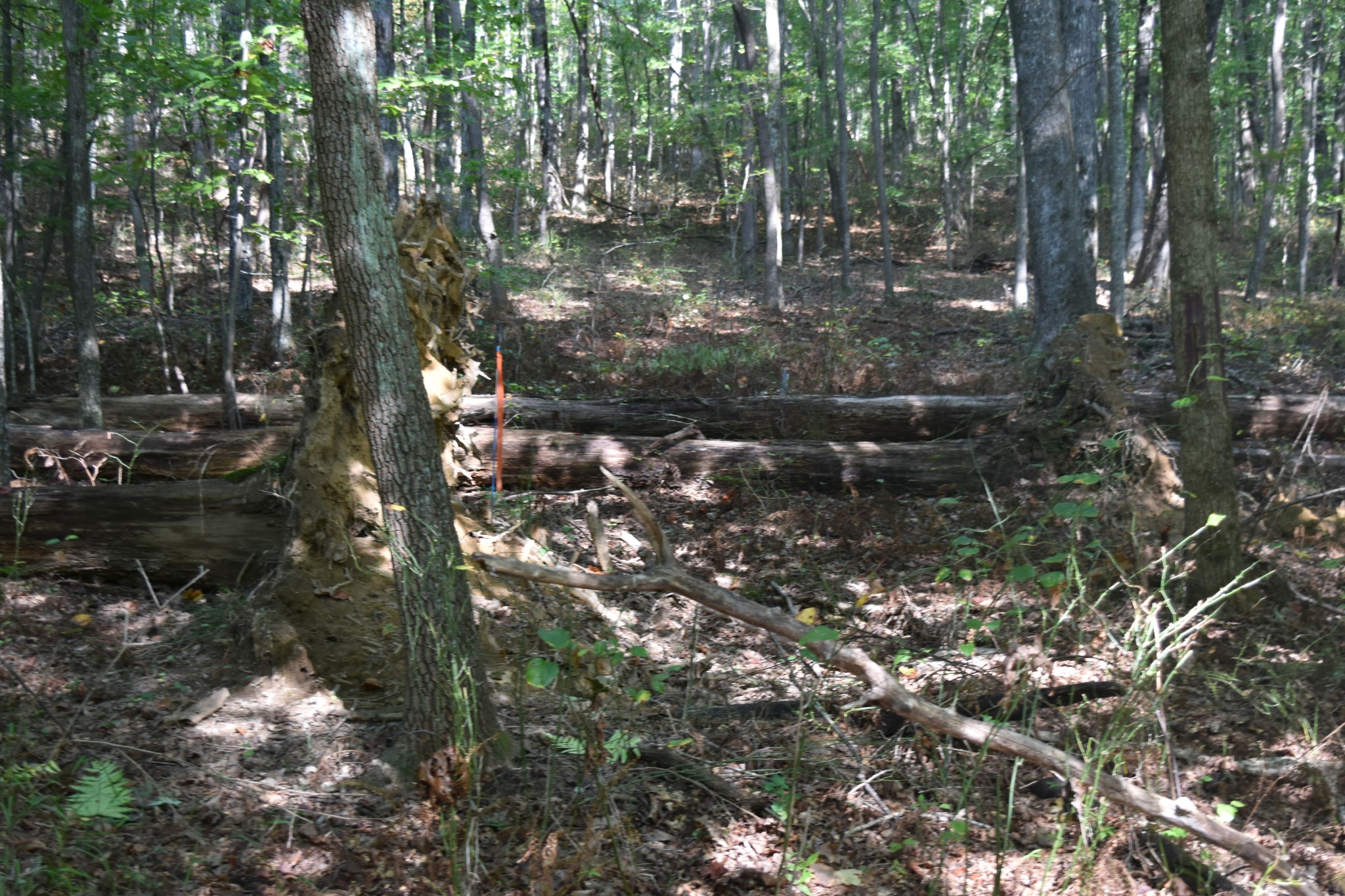 0 Stage Coach Road Sewanee, TN 37375 - Photo 26 of 50 Gallery Image 26