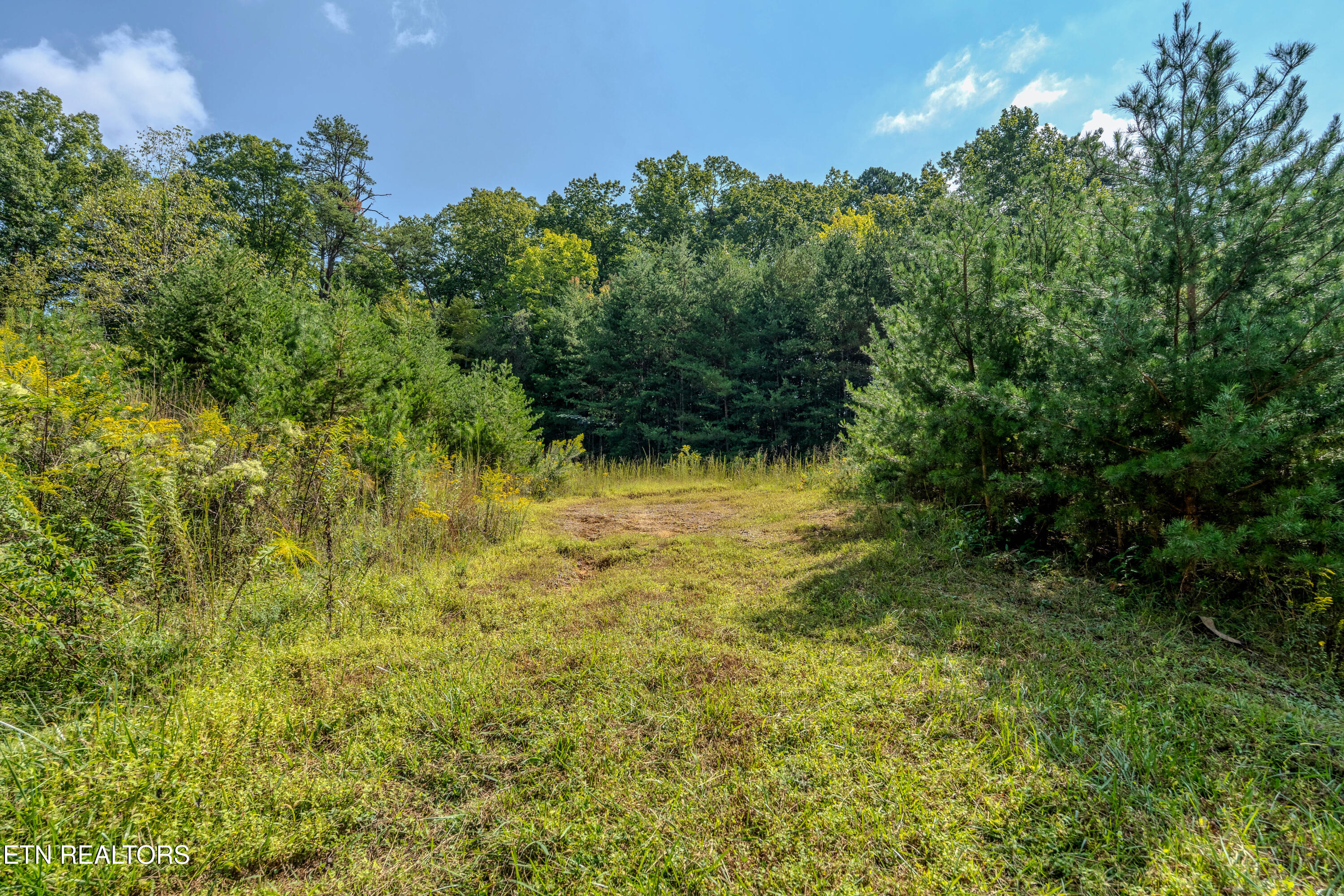 4323 Boogertown Road Sevierville, TN 37876 - Photo 34 of 42 4323BoogertownRd-40