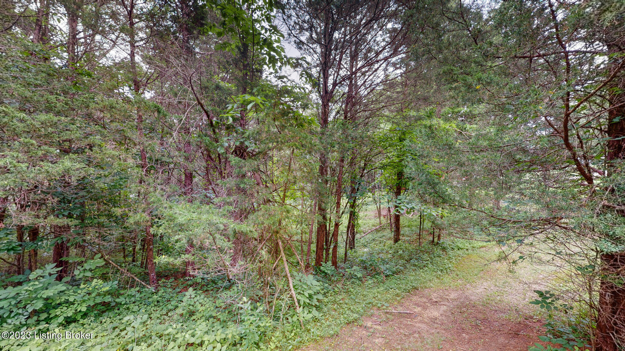 266 Doe Ridge Road Bedford, KY 40006 - Photo 23 of 38 23-print-266 Doe Ridge Rd Bedford KY 400