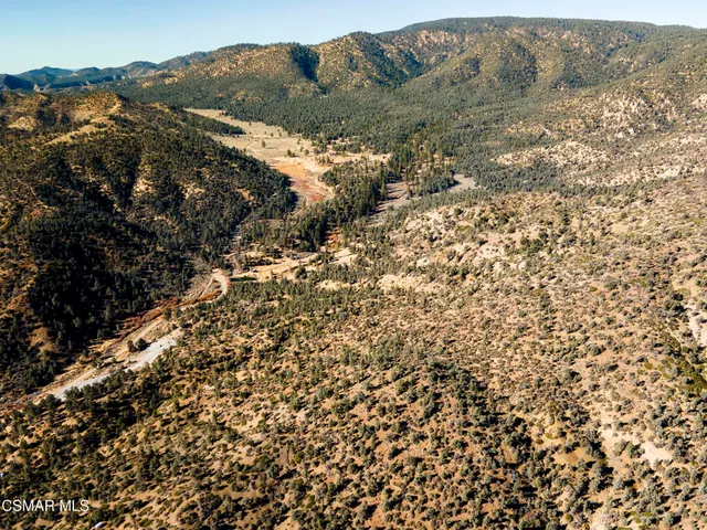 a view of a dry yard