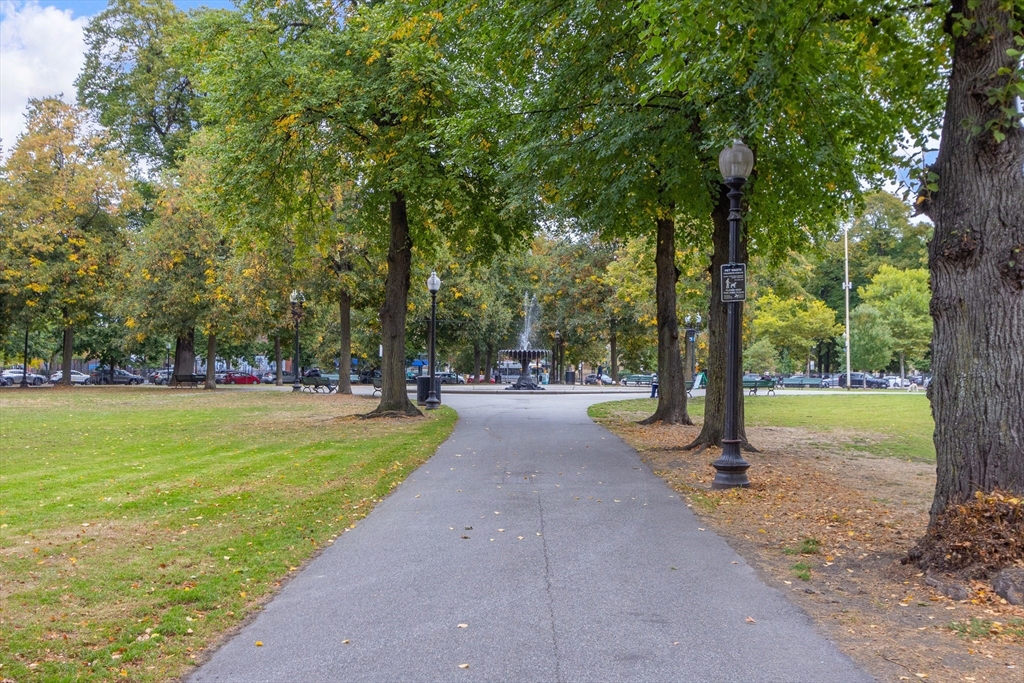 431 Shawmut Avenue, Unit PH Boston, MA 02118 - Photo 25 of 27 a park with tree s