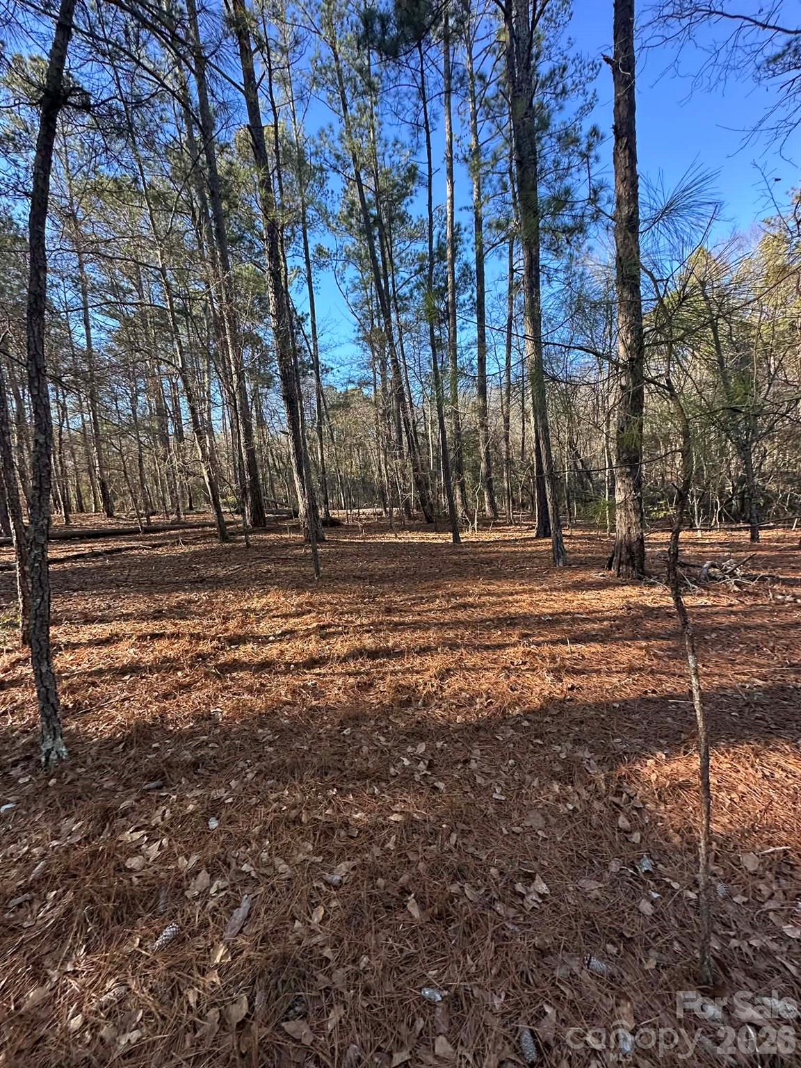 0 Unnamed Road Ruby, SC 29741 - Photo 12 of 14 a view of outdoor space with deck