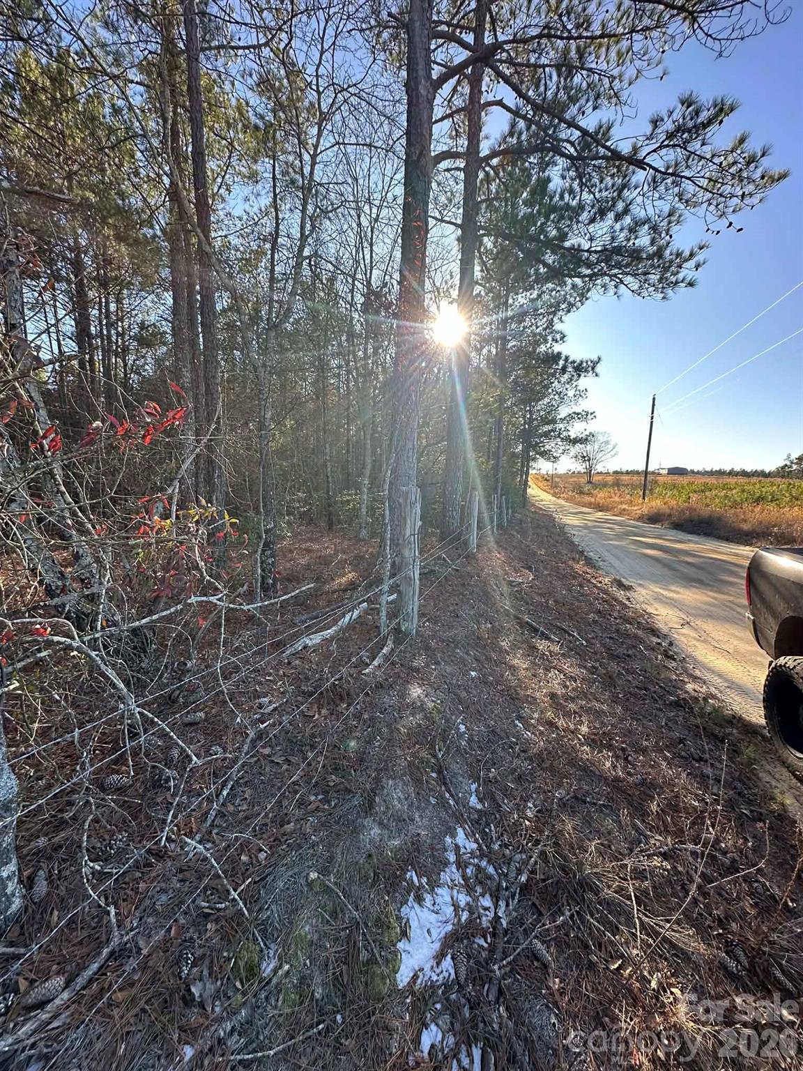 0 Unnamed Road Ruby, SC 29741 - Photo 4 of 14 a view of a yard with trees