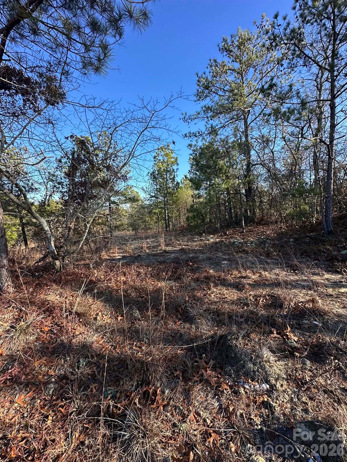 0 Unnamed Road Ruby, SC 29741 - Photo 7 of 14 a view of a yard