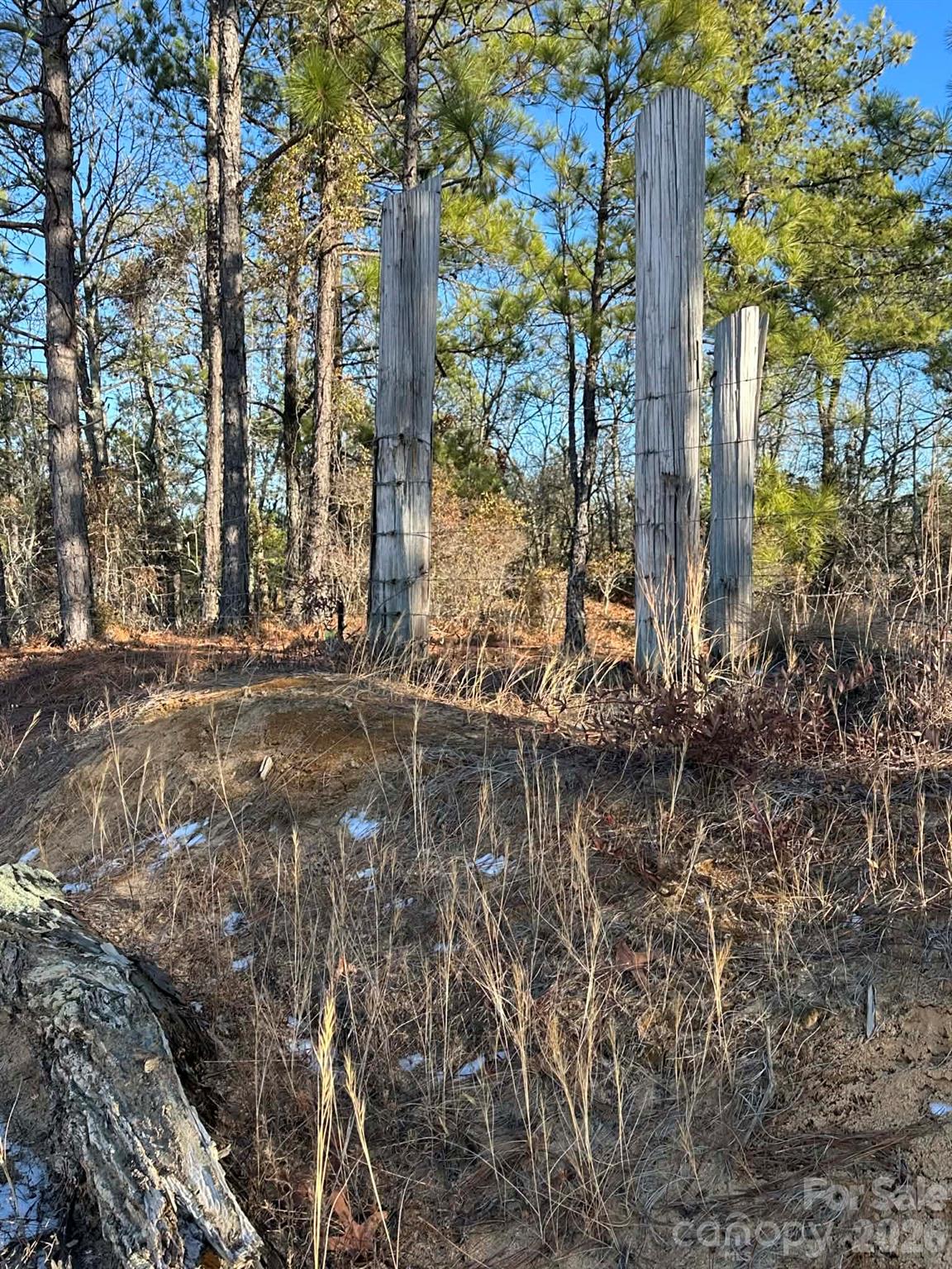 0 Unnamed Road Ruby, SC 29741 - Photo 8 of 14 a view of lake
