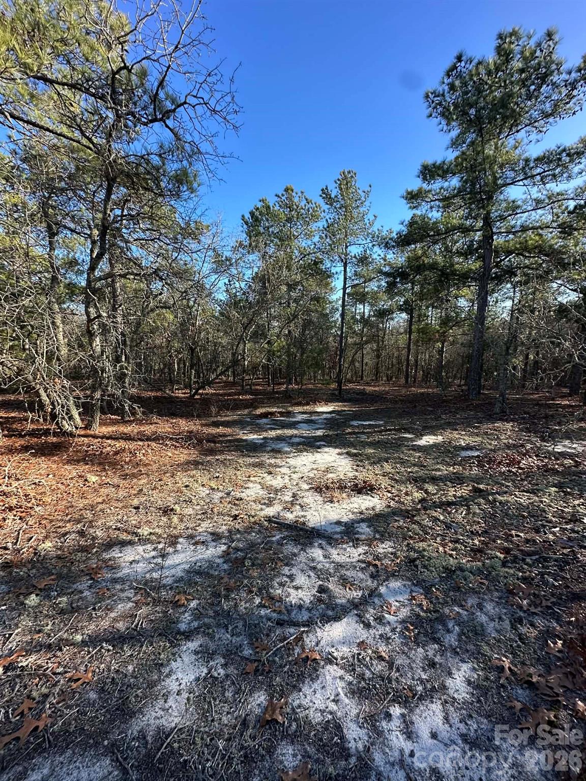 0 Unnamed Road Ruby, SC 29741 - Photo 9 of 14 a view of outdoor space with trees